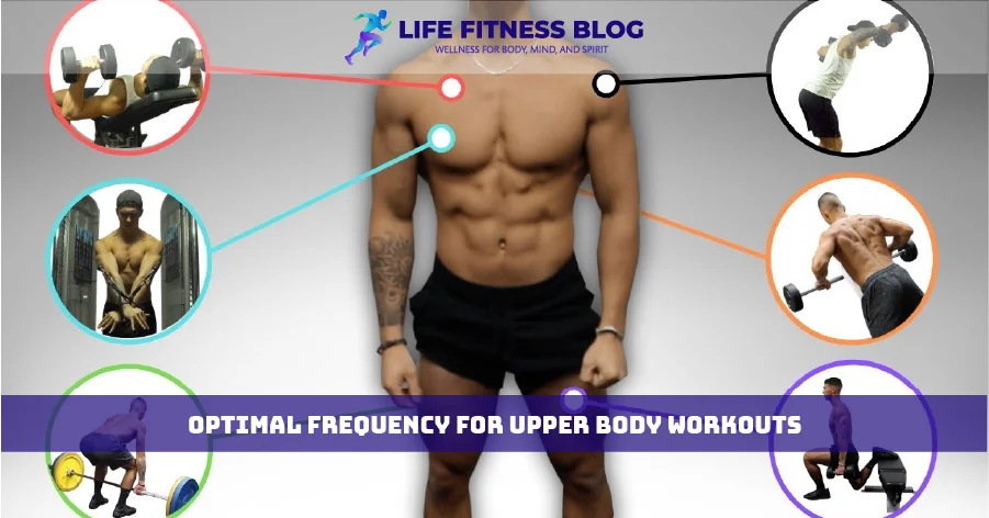 Optimal Frequency for Upper Body Workouts