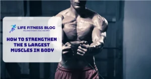 How to Strengthen The 5 Largest Muscles In Body