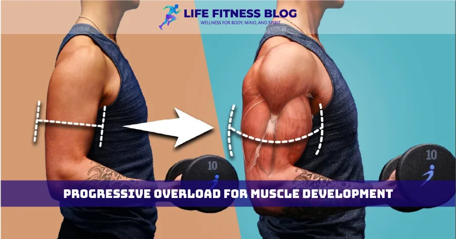 Progressive Overload for Muscle Development