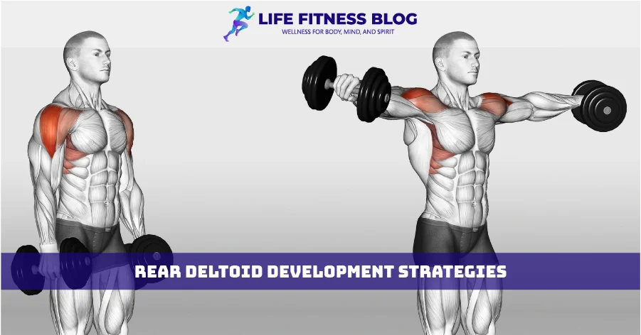 Rear Deltoid Development Strategies