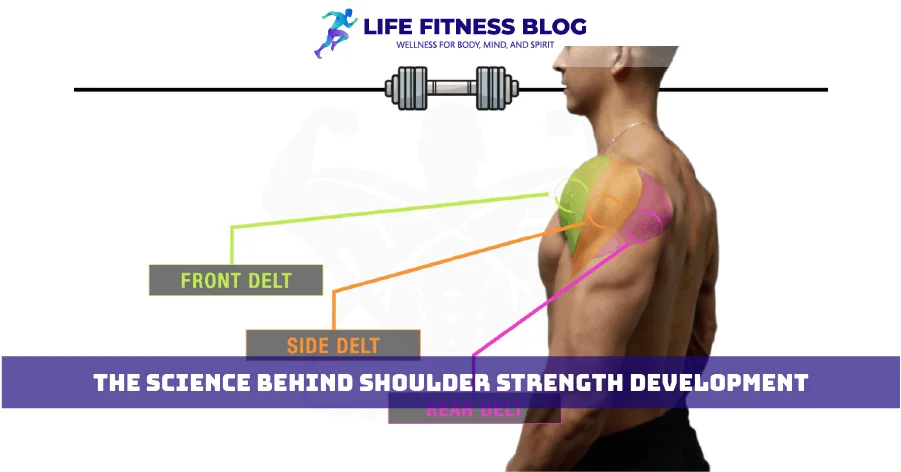 The Science Behind Shoulder Strength Development