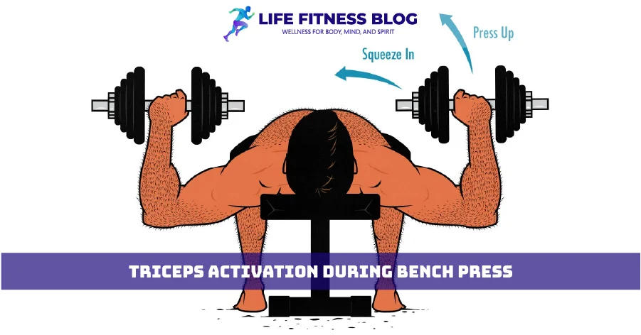 Triceps Activation During Bench Press