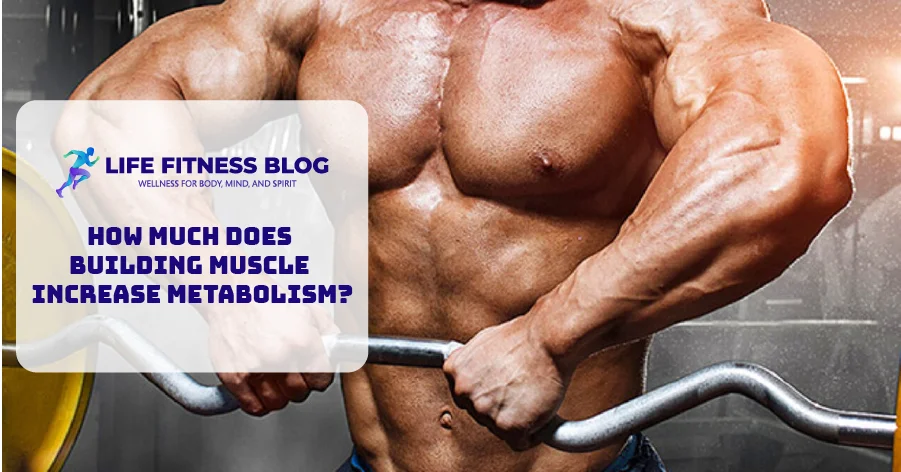 How Much Does Building Muscle Increase Metabolism