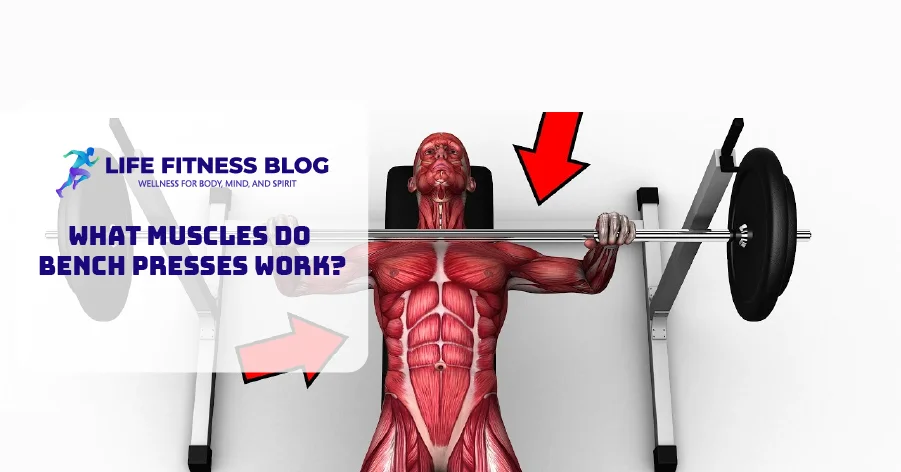 What Muscles Do Bench Presses Work?